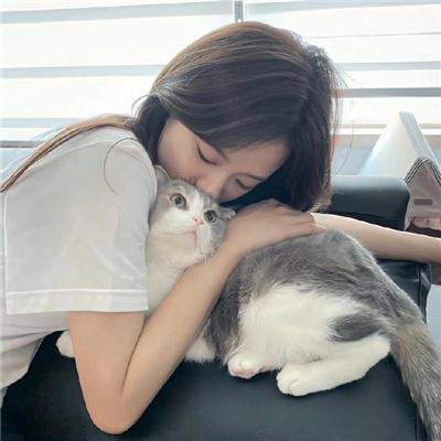 疯狂兔宝